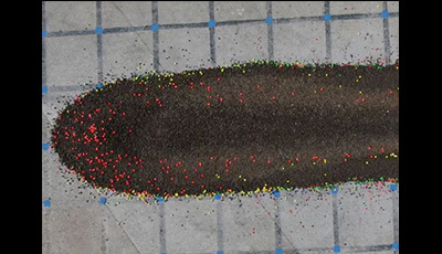 image of Particle Segregation in Dense Granular Flows: Supplemental Video 7