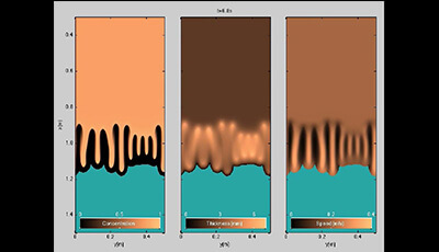 image of Particle Segregation in Dense Granular Flows: Supplemental Video 8
