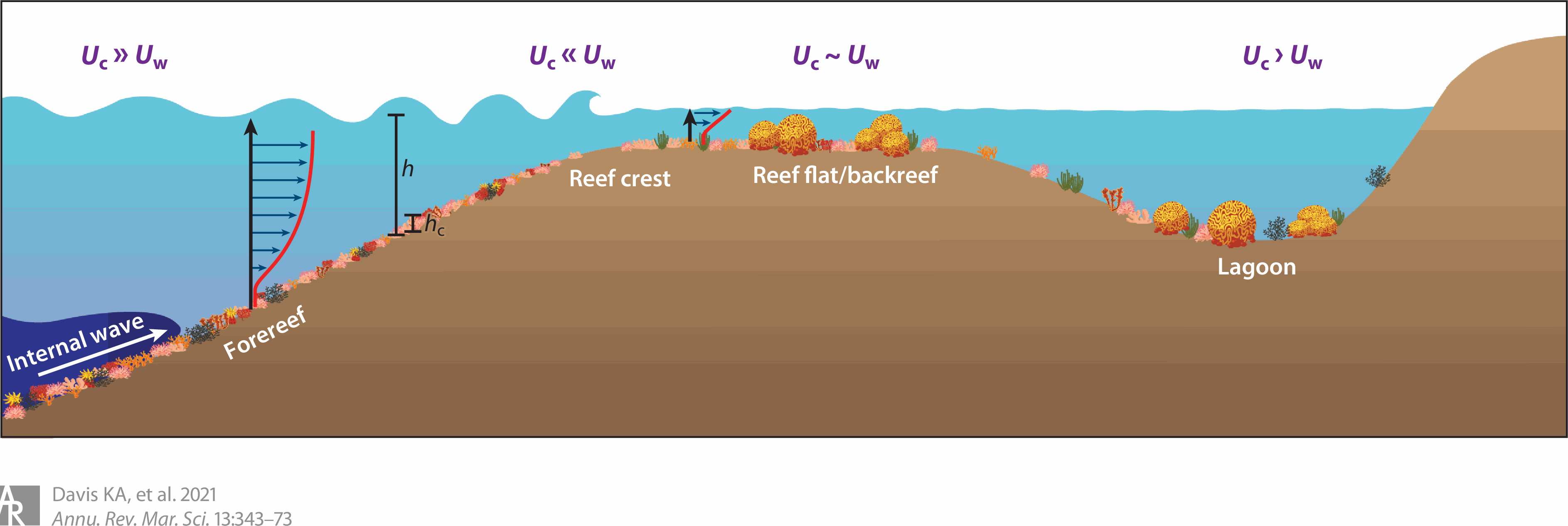 淺談海水缸中的水流